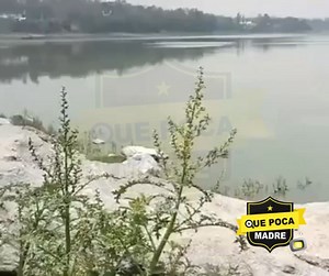 197K views · 1K reactions | ‼️APARECE OTRO #IZCADRILLO TOMANDO EL SOL; SERÍA EL SEGUNDO REPTIL CAPTADO EN EL MUNICIPIO‼️ #ReporteCiudadano Fue captando un #cocodrilo tomando el sol en el Lago de Guadalupe. Este sería el segundo ejemplar de la especie hallado en #CuautitlánIzcalli, el otro fue localizado en la laguna de La Piedad. | QUE POCA MADRE Valle de México | Facebook