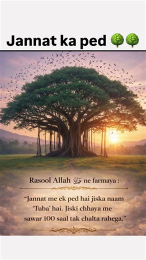 Jannat ka ped | tree of heaven #allah