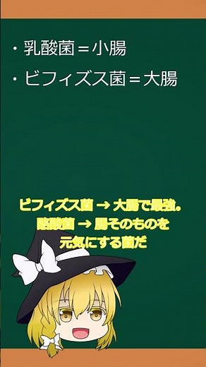 整腸剤の選び方（乳酸菌／ビフィズス菌／酪酸菌）