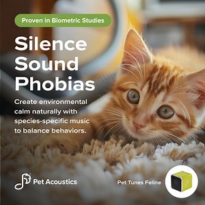 116 reactions · 3 comments | Pet Acoustics is spotlighting our precious cats, especially those in shelters who are in need of loving homes. Our feline-specific music has proven to make a remarkable difference, creating calmer, more comforting environments in shelters and enhancing the well-being of cats in their forever homes. Code: "welcome10" for a 10% discount on PetAcoustics.com. | Pet Acoustics | Facebook