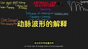 动脉系列2.动脉波形解释（中英文双语版）