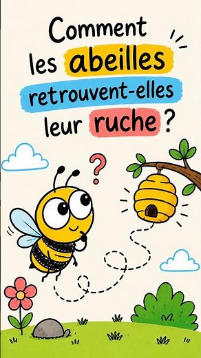 Comment les abeilles retrouvent-elles leur ruche ?