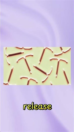 Copper IUD Explained| What's is Copper IUD| How does copper IUD work