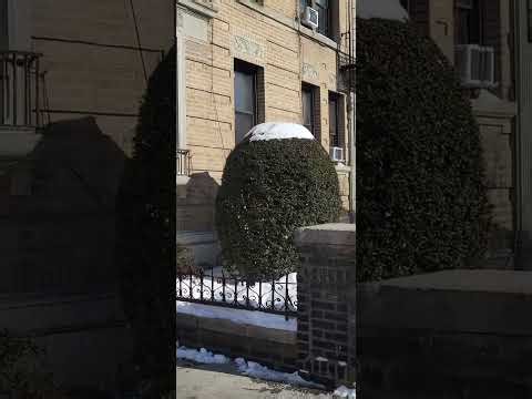 See the racist white NY Predators Dept officers engaging in stalking and harassment as I exited.