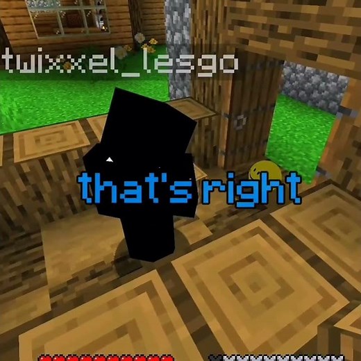 He deserved that 😭 minecraft verity 4k original from ‪@ThatMob‬