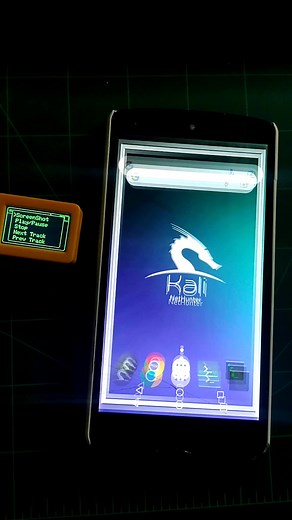 Remote Control Phone with Bruce Firmware Guide