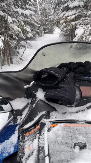 Groooomin | Mod Tongue Racing