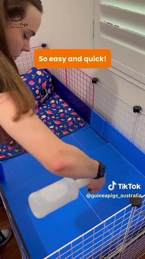 Transforming Guinea Pig Cages for Happy Pets