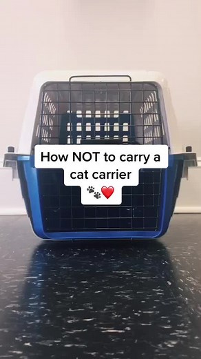 Pet’s Favorite Vet on TikTok