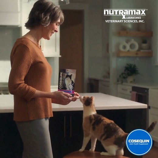 Support your cat’s joint health daily with Cosequin® Joint Health Supplement. These tasty soft chews contain glucosamine and chondroitin for joint support, plus omega-3s for healthy skin and coat. To order, visit https://bit.ly/4c9V9VD #Cosequin #CatsOfInstagram #CatLovers | Cosequin | Facebook