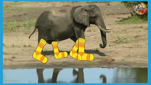 英语歌曲-The Clothing Song