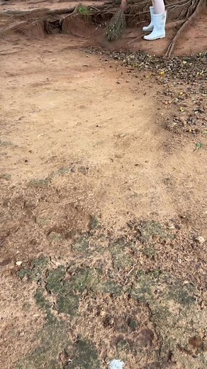 15K views · 283 reactions | Meu marido e meu cunhado, parte 3 | Quelliallmeidaofc | Facebook