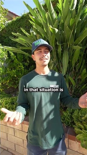 You Won’t Believe What We Found Up Here 😳