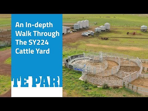 In-Depth walk through a Te Pari Cattle Yard | Nick McClelland