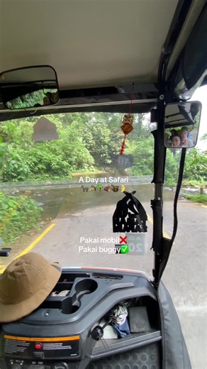 Pokoknya kalian harus cobain experience nya keliling safari pakai buggy car!!!❤️❤️❤️ #placetogo #tamansafari #tamansafariindonesia #placetogobogor #travel #fyp #recommendations