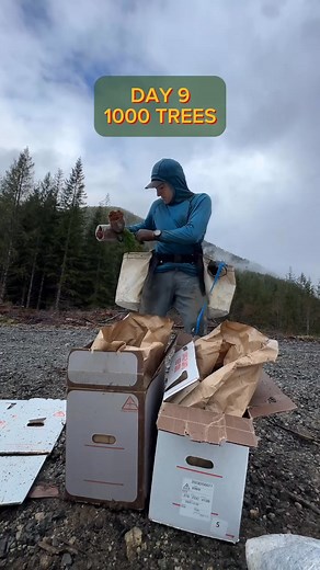 385K views · 3.3K reactions | FAQ #8: How much do you get paid per tree ? Answer : It depends of the tree size and land, but here we are getting paid between 0,24$ and 0,30$ a tree. question asked by : @bmcknight9112000 #trees #treeplanting #treeplanter #planttrees | Antoine Moses | Facebook