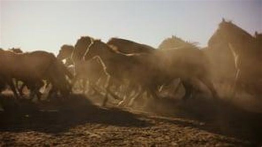 Banana Republic, The September Collection Campaign, 2023 (Banana Republic)