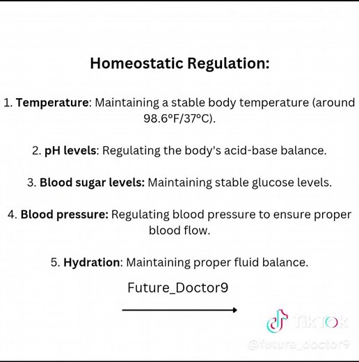 Understanding Homeostasis in the Human Body