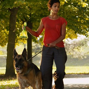 136 reactions · 18 shares | Do you rely on dog waste bags in parks?...