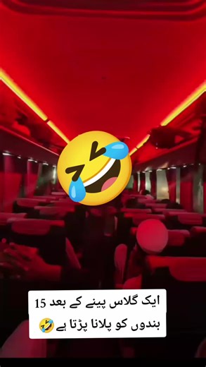 Pine a Glass: Fun with Friends After Drinking