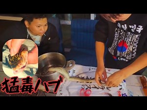 【料理】ハブを実際に食べて正直レビューします【辛口審査】