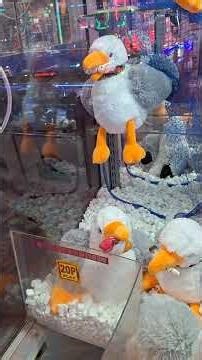 5 plays on seagull teddy elaut ex1 claw machine at caesars fun palace great Yarmouth 2026