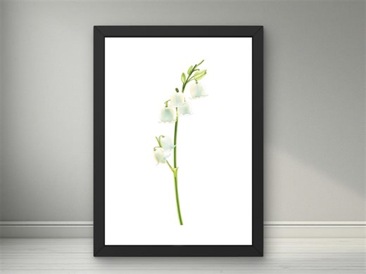 May Birth Flower Lily of the Valley Printable Wall Art, Minimalist Botanical Illustration - Etsy