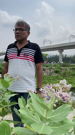 10K reactions · 3.2K shares | #আকন্দ #Akondo #Calotropisgigantea #Apocynaceae | Md Azharul Islam Khan | Facebook