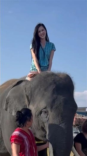 My first time riding an elephant. So exciting! #Pinhathai #DoctorPin