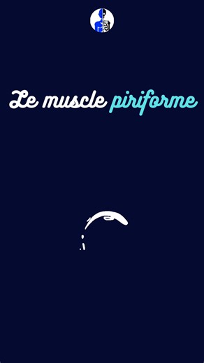 👋Coucou les anatomistes 📄Fiche d'anatomie du muscle piriforme 👉Le muscle piriforme est un muscle profond de la région fessière. Il est l'un des six muscles pelvi-trochantériens. 🦴Origine : sur la face antérieure ipsilatérale du sacrum (2e, 3e et 4e vertèbres sacrées), entre les deuxième et troisième foramens sacrés antérieurs 🦴Terminaison: sur l'apex du grand trochanter du fémur ⚡Innervation : par le nerf piriforme, issu des branches antérieures du plexus sacré (racines S1-S2) 🩸Vascularisa