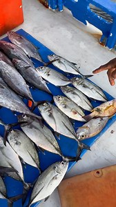 @sorotan | Sonny Unsu