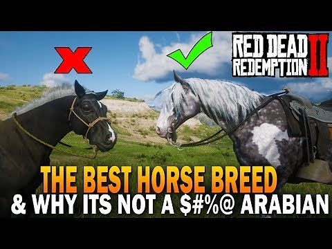 The BEST HORSE Breed In RDR2 And Why It's Not an Arabian - Red Dead Redemption 2 Horses