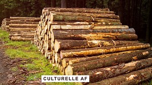 Présentation Beautiful Home