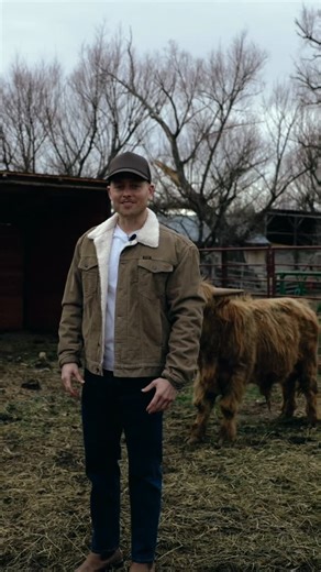 Sawyer Hemsley on Instagram: "We’ve loved bringing you along behind the scenes of our @hemsleyranch expansion here in Charleston, Utah, and if you’ve been enjoying this series, just know we’re only getting started. This season has been full of dreaming, learning, and rolling up our sleeves. From caring for the animals and making thoughtful plans to upgrade the property, to brainstorming new ways to put Hemsley Ranch even further on the map, every day feels like a mix of excitement, humility, and