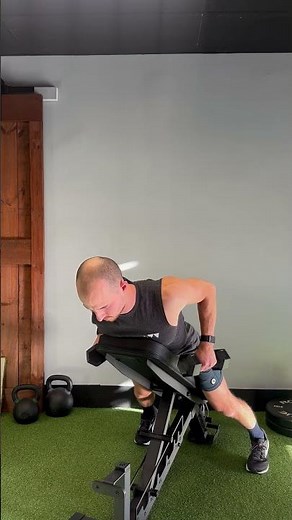 Dumbbell Chest Supported Row