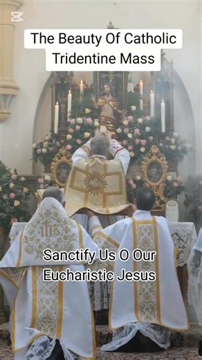 THE BEAUTY OF CATHOLIC TRIDENTINE LATIN MASS. THE MASS OF ALL TIMES CONTINUE TO SANCTIFY YOUR PEOPLE O LORD. INCREASE OUR LOVE O OUR EUCHARISTIC JESUS. | Call to Holiness of Life
