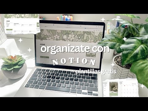 How to organize your life with NOTION 💻🪴📝 + free templates