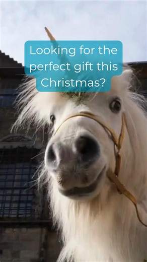 Epic events await all year round - from thrilling jousting tournaments to living history performances and fascinating exhibitions - with free entry to all daytime events included with Gift Membership. 🎁Give the past as a present this Christmas! Surprise someone special with access to castles, abbeys, and unforgettable experiences across Scotland. Perfect for explorers, history lovers, and memory makers. Visit www.hes.scot/gift to purchase yours today and order before 15 December for Christmas d