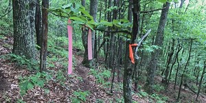 Forest Service to prepare new environmental impact statement on Mountain Valley Pipeline crossing