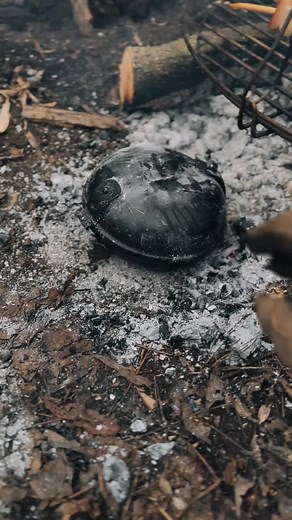 Baking Bread at Camp - Pan de Campamento and Charcoal Bread Wilderness
