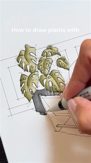 Winsor & Newton on Instagram: "How to draw plants with Promarkers 🌿 Few things compare to the excitement of getting that depth and detail just right in your art. We’re watching @sketchsssss show us how to use layering for the perfect botanical greens! Tips for creating lush shades: - Layering for definition: Start light and build your shadows using shades like Khaki and Olive Green - Embrace the flow: The alcohol-based colour dries quickly and evenly to a streak-free finish. Focus on the satisf