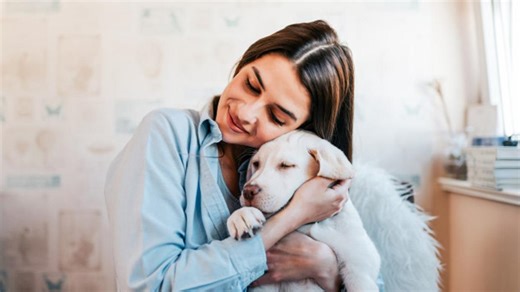 Panduan Lengkap untuk Pemilik Hewan Peliharaan Pemula: Tips dan Trik Sukses