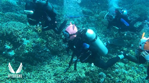 Really Fun Dive🤿😽🦊🦀 #scubadiving | Hydrone Scuba