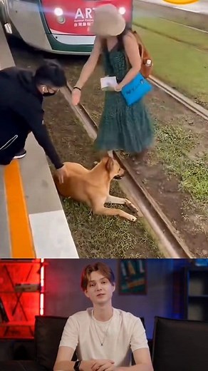 The Dog That Stunned Everyone 🐶😱 | Alex World