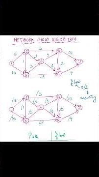 Network Flow Algorithm || Srijeeta Das || codewith_BT #coding #exam #programming #education test