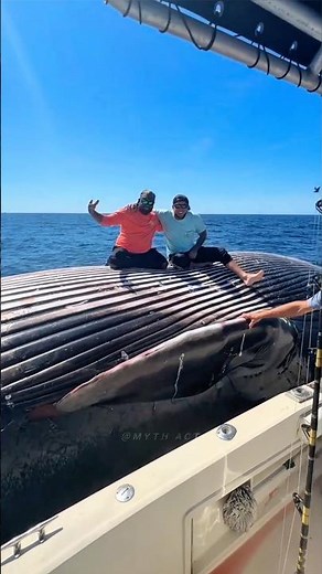 Why the dead blue whale becomes even more dangerous 😲