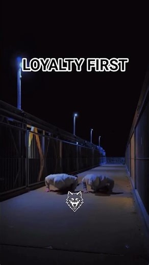 Real Friends Are Priceless. #shorts #discipline #motivation