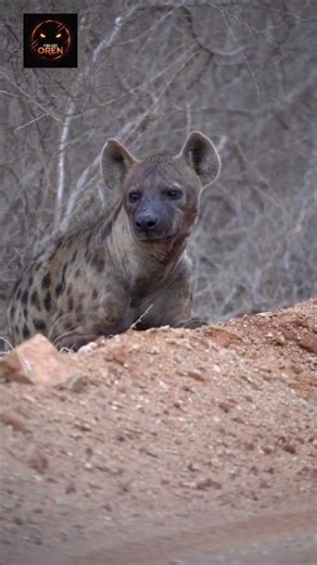 Nature’s Most Disturbing Creatures