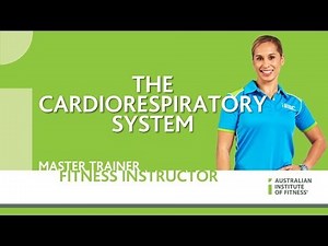 The Cardiorespiratory System