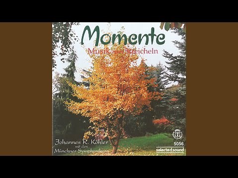 Träume Unter Pinien